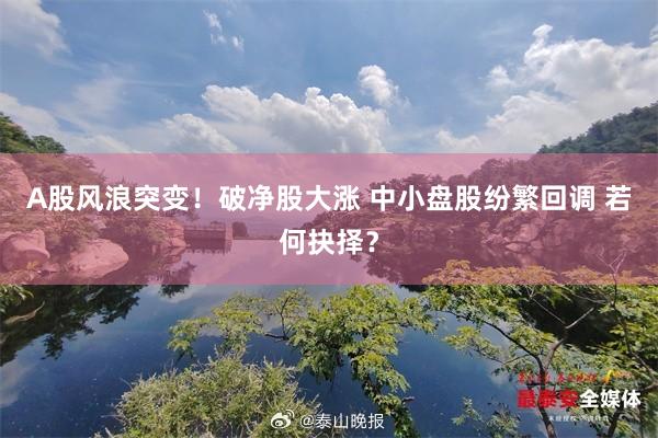 A股风浪突变！破净股大涨 中小盘股纷繁回调 若何抉择？